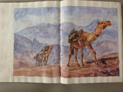 Les chameaux (no-1) aquarelle